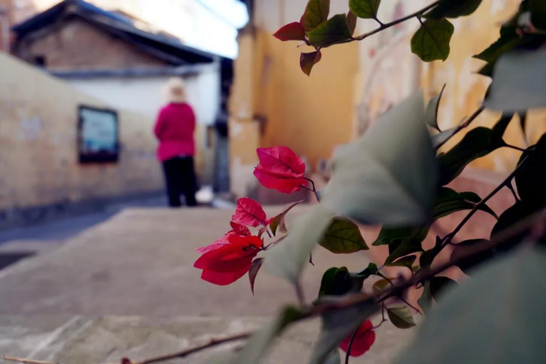 探秘老街區，這些昆明私藏街巷美呆了