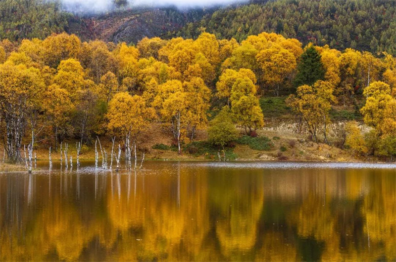 ?昆明策劃公司：云南的秋天“最云南”！15個(gè)絕美賞秋地，隨手一拍都適合當(dāng)壁紙！