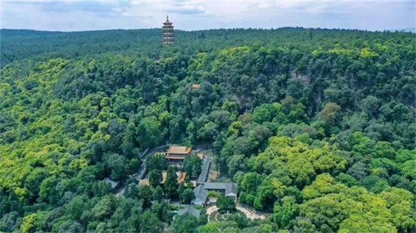 康養(yǎng)+旅游，冬游楚雄就選這條自駕線路