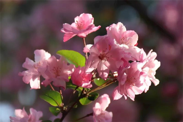 擇一城，愛一生，昆明，絕對是你不錯的選擇！