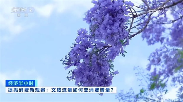 云南旅游,云南旅行社,云南團建公司,云南策劃公司,云南會議執(zhí)行公司,昆明旅游,昆明旅行社,昆明團建公司,昆明策劃公司,昆明會議執(zhí)行公司：央視13分鐘聚焦！昆明以花為媒提振消費 文旅流量變消費增量